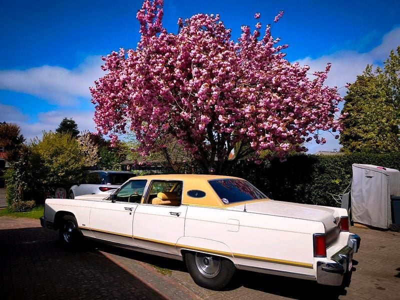 Gebraucht Lincoln Continental 1976 Weiß Limousine