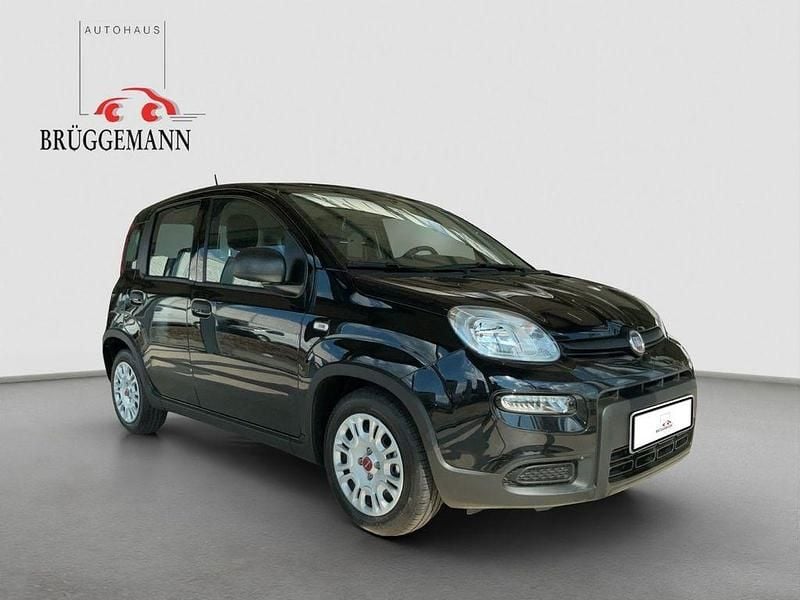 Gebraucht Fiat Panda 69 PS (50 kW) 2023 Schwarz Kleinwagen