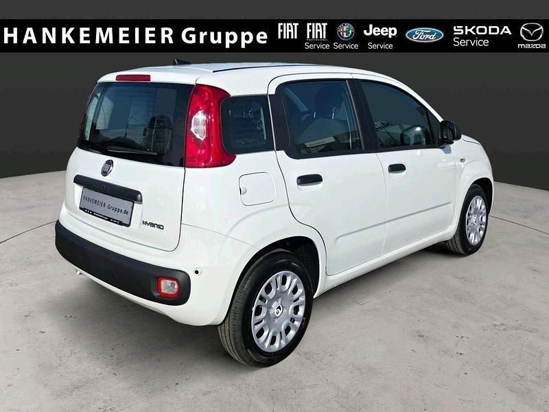 Neu Fiat Panda Icon 65 PS (47 kW) 2026 Weiß Kleinwagen