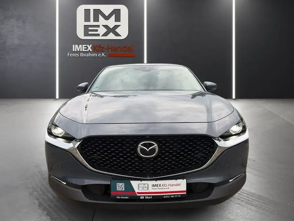 Gebraucht Mazda CX-30 Selection 116 PS (85 kW) 2019 Grau SUV