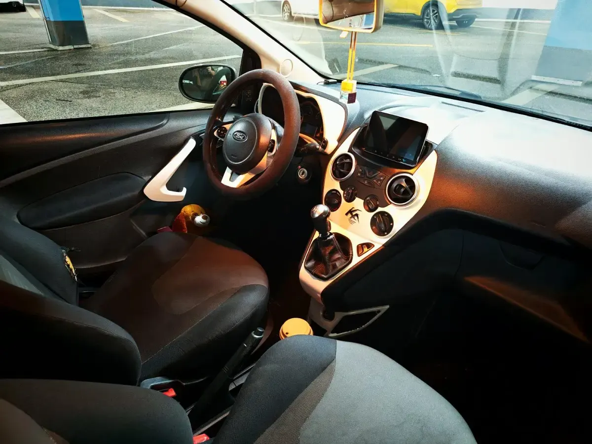 Usata Ford Ka 69 CV (50 kW) 2009 Marrone Utilitaria