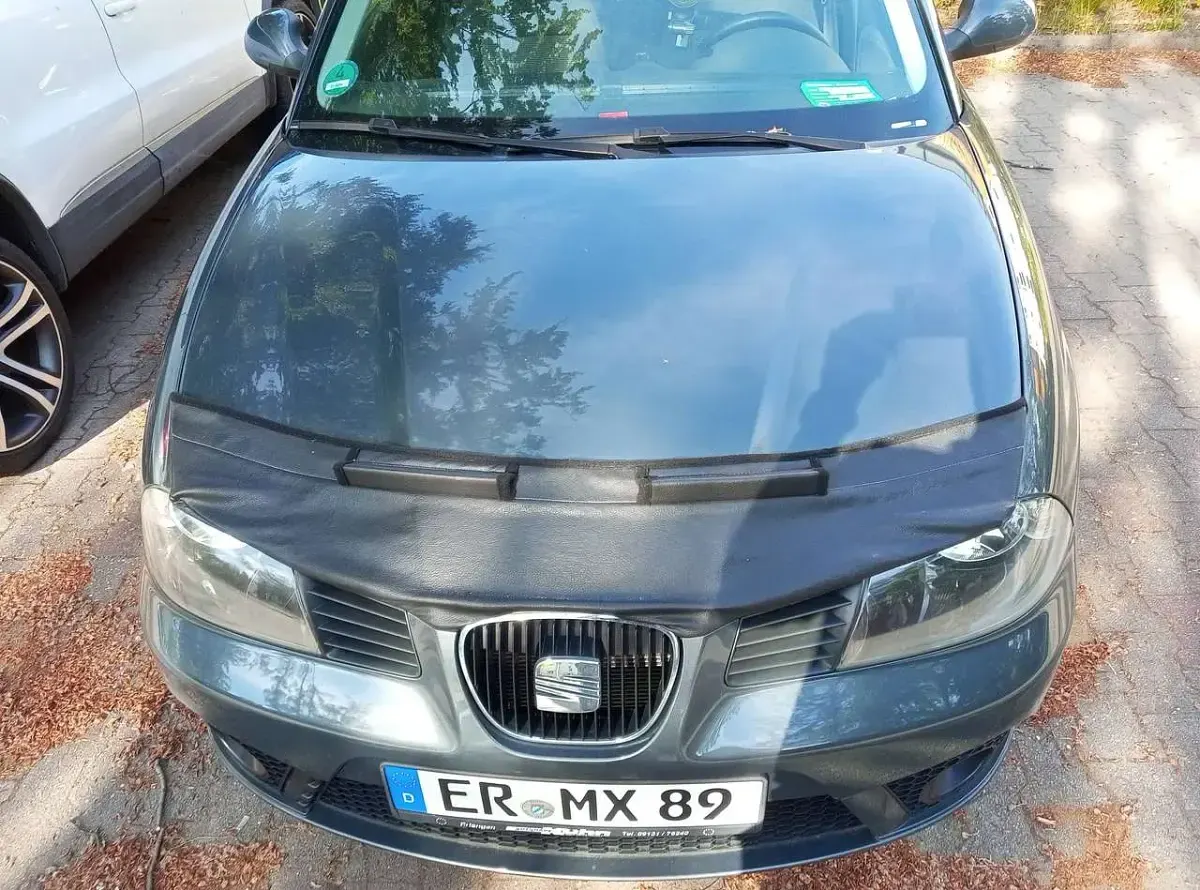 Gebraucht Seat Ibiza 75 PS (55 kW) 2006 Kleinwagen
