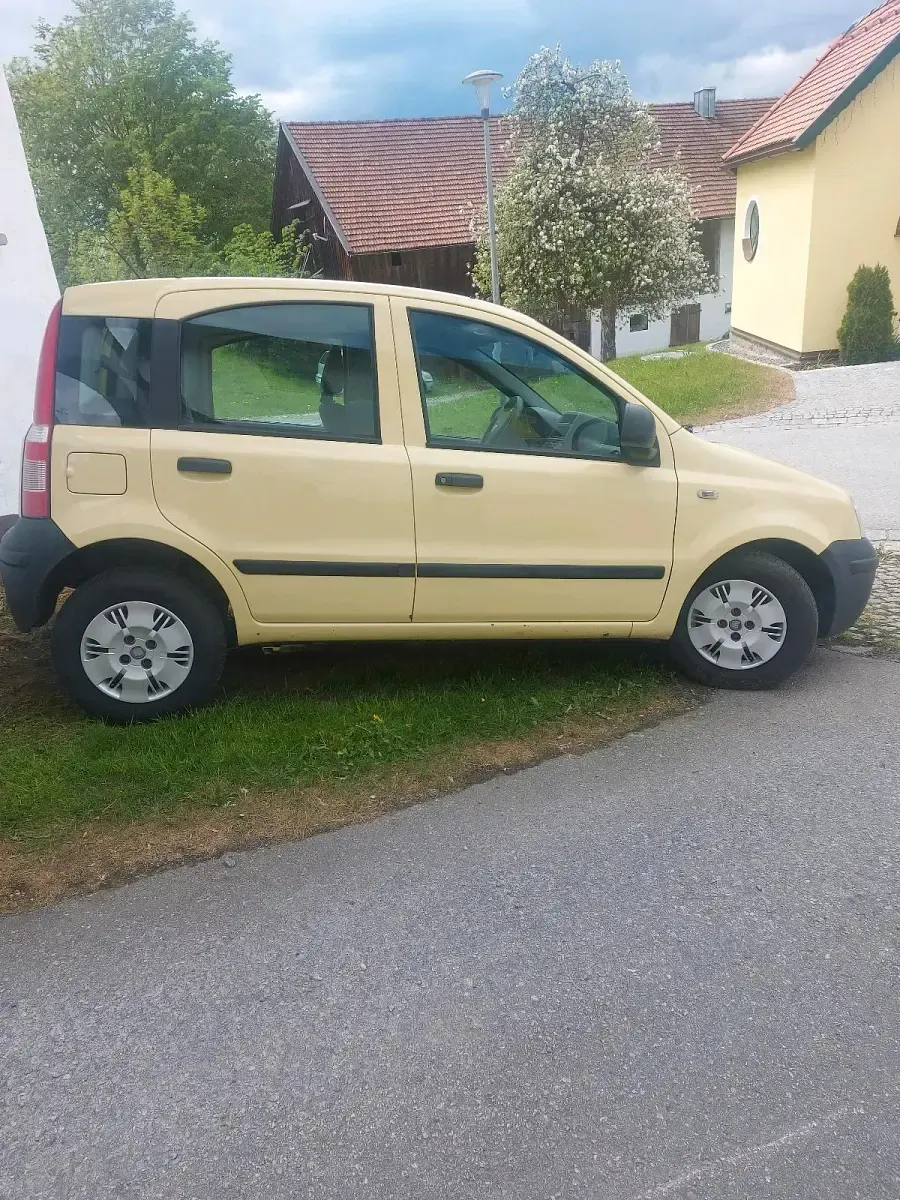 Używany Fiat Panda 60 KM (44 kW) 2009 Żółty Hatchback