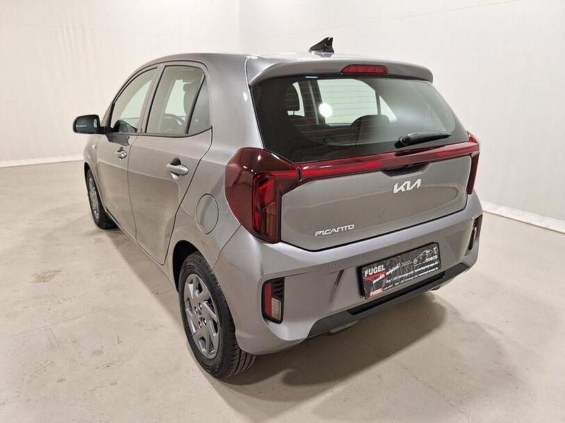 Gebraucht Kia Picanto Vision 63 PS (46 kW) 2024 Astrograu met. Kleinwagen