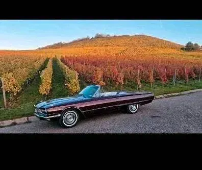 Gebraucht Ford Thunderbird 300 PS (220 kW) 1966 Coupé