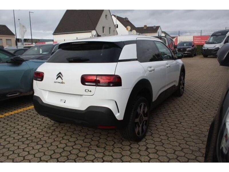 Gebraucht Citroën C4 Cactus 101 PS (74 kW) 2019 Weiß Kleinwagen