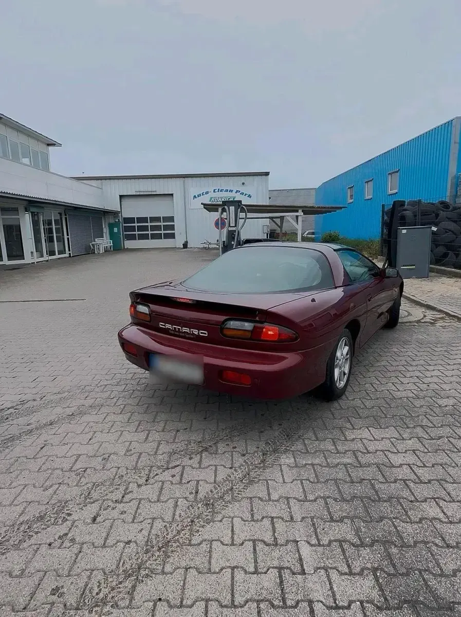 Gebraucht Chevrolet Camaro 193 PS (141 kW) 2001 Rot Coupé
