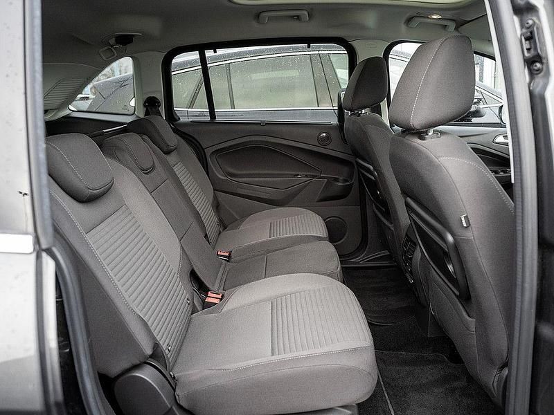 Gebraucht Ford C-MAX Titanium 150 PS (110 kW) 2019 Magnetic grau Van / Kleinbus