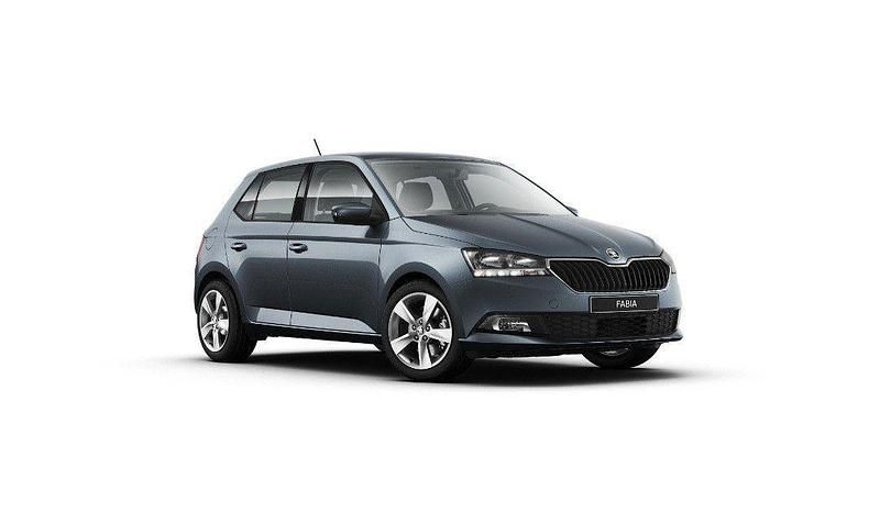 Gebraucht Skoda Fabia Cool Plus 60 PS (44 kW) 2019 Grau Kleinwagen