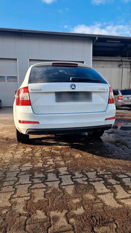 Gebraucht Skoda Octavia Joy 110 PS (80 kW) 2017 Weiß Kombi