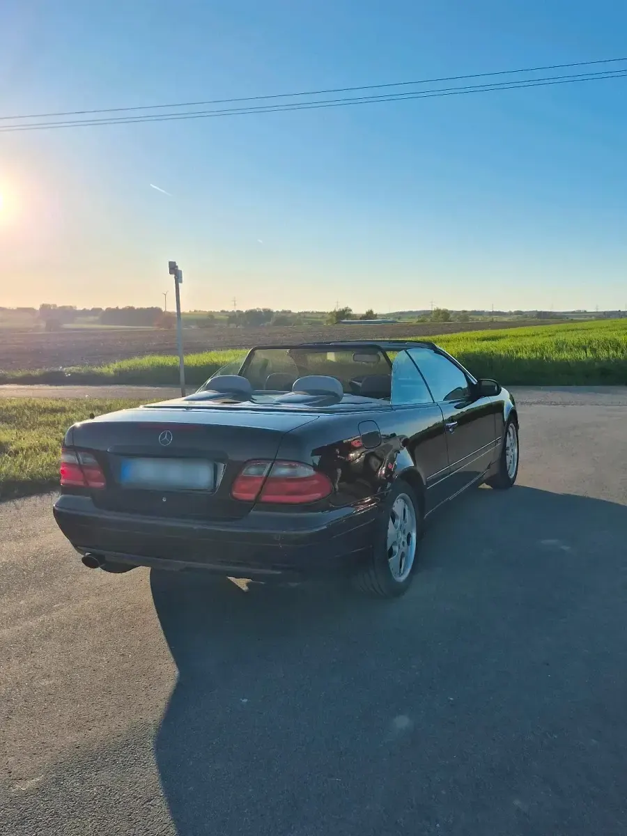 Gebraucht Mercedes CLK230 197 PS (144 kW) 2001 Violet Cabrio