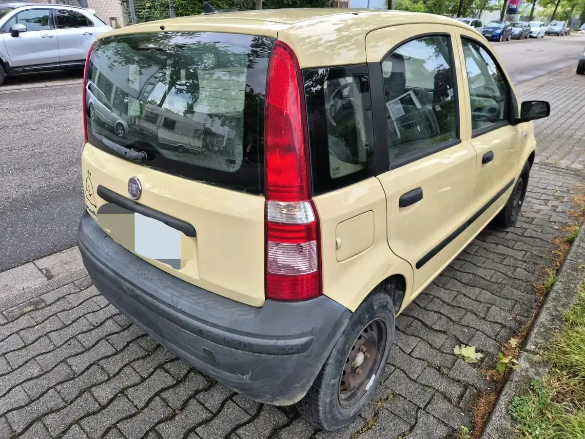Usata Fiat Panda 55 CV (40 kW) 2009 Giallo Utilitaria
