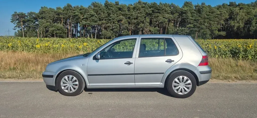Gebraucht VW Golf IV Basis 116 PS (85 kW) 2001 Grau Limousine