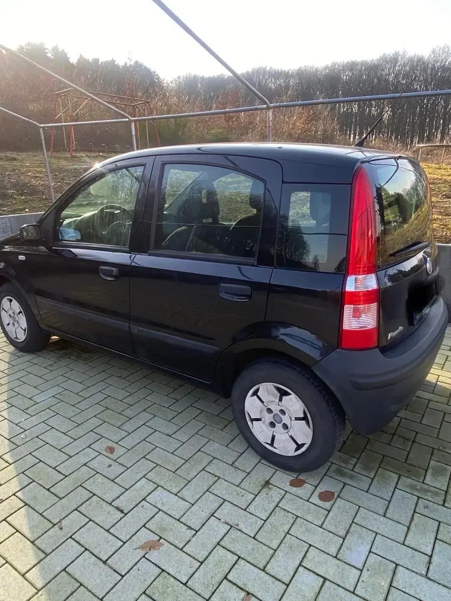 Usata Fiat Panda 2009 Giallo Utilitaria