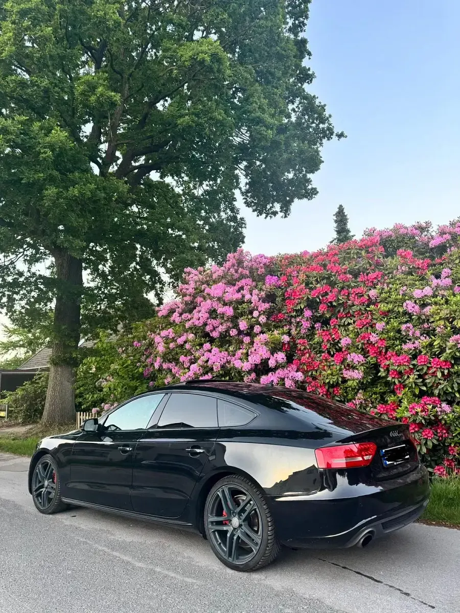 Gebraucht Audi A5 Sportback S-Line 211 PS (155 kW) 2011 Schwarz Kleinwagen