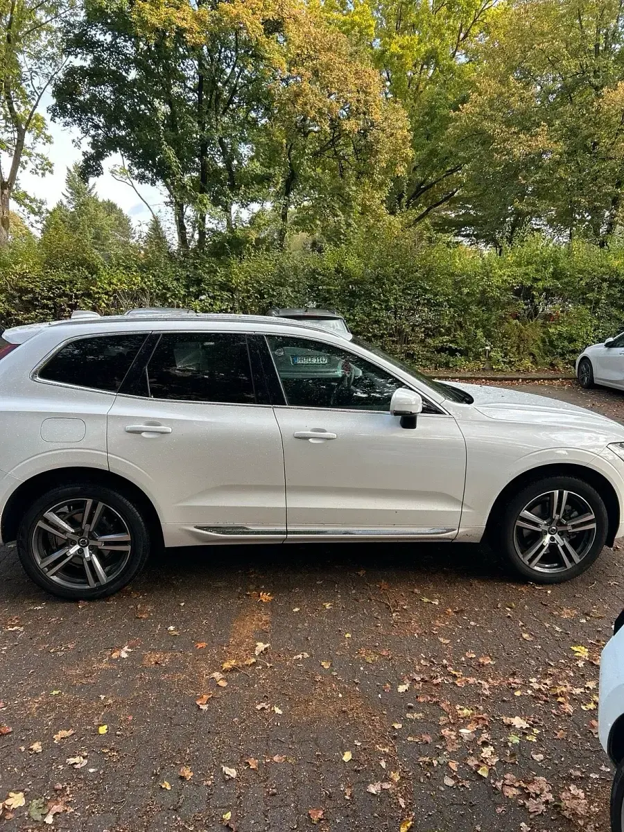 Gebraucht Volvo XC60 197 PS (144 kW) 2019 Weiß SUV