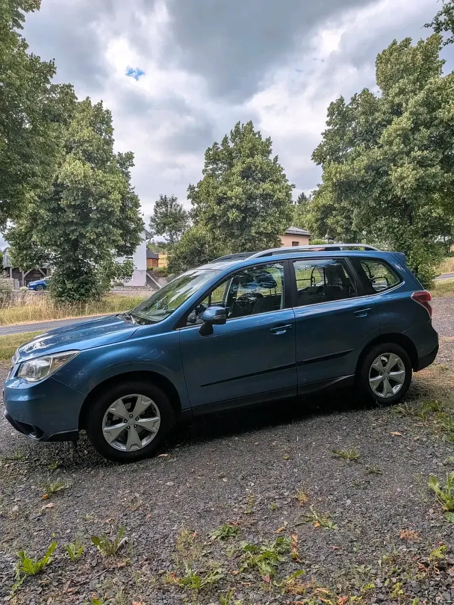 Gebraucht Subaru Forester 150 PS (110 kW) 2015 Blau SUV