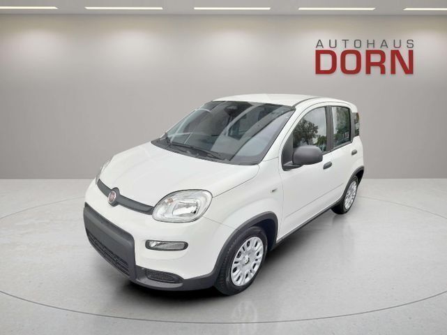 Rot Neu 2024 Fiat Panda Kleinwagen | 15.690 € - Bild 1/4