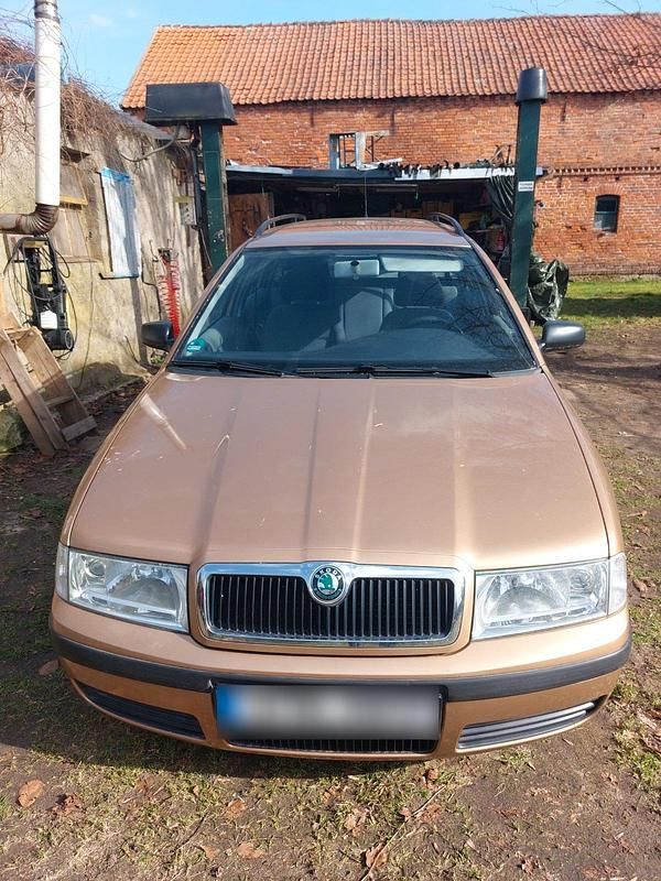Second-hand Skoda Octavia 75 CP (55 kW) 2001 Auriu Break