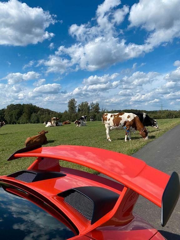 Gebraucht Porsche 991 500 PS (367 kW) 2018 Orange