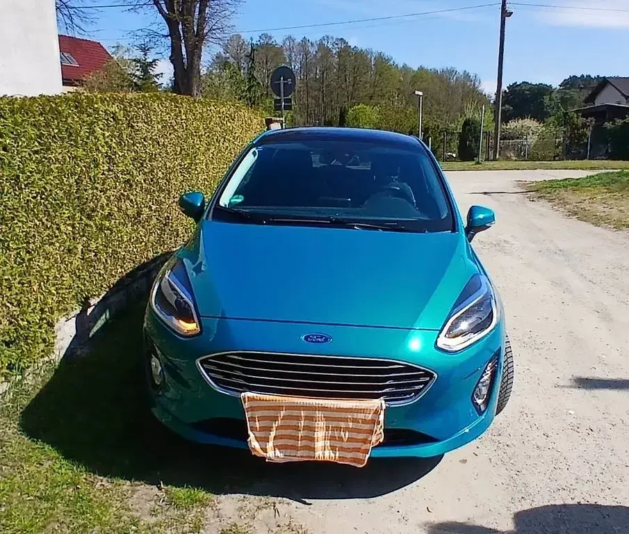 Gebraucht Ford Fiesta Titanium 101 PS (74 kW) 2019 Grün Kleinwagen