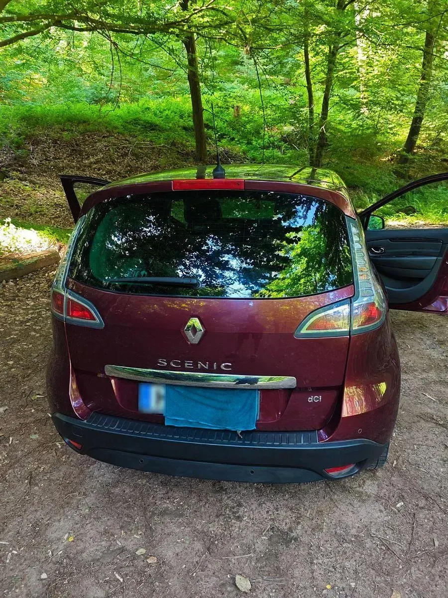 Gebraucht Renault Scenic E-Tech Bose Edition 163 PS (119 kW) 2014 Rot Van / Kleinbus