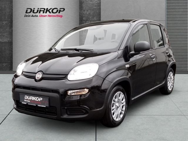 Schwarz Neu 2024 Fiat Panda Kleinwagen | 13.990 € - Bild 1/4