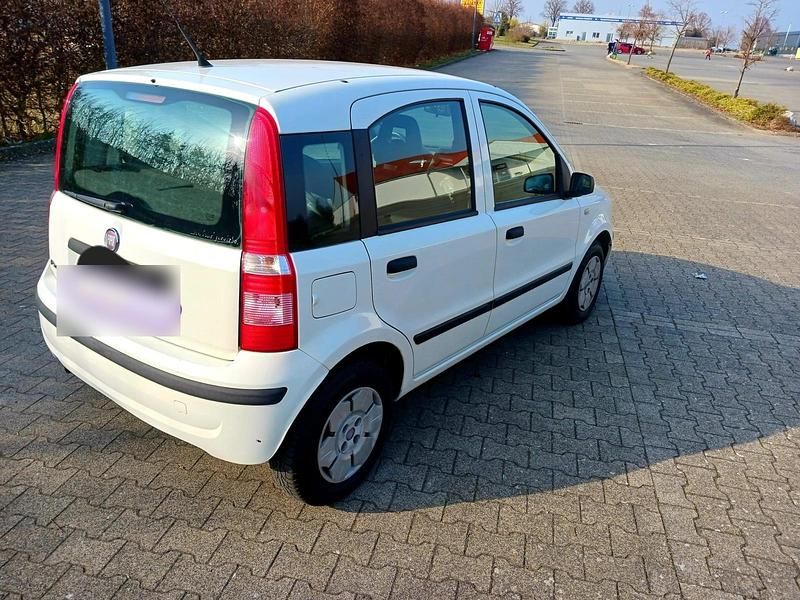 Gebraucht Fiat Panda 54 PS (39 kW) 2009 Weiß Kleinwagen