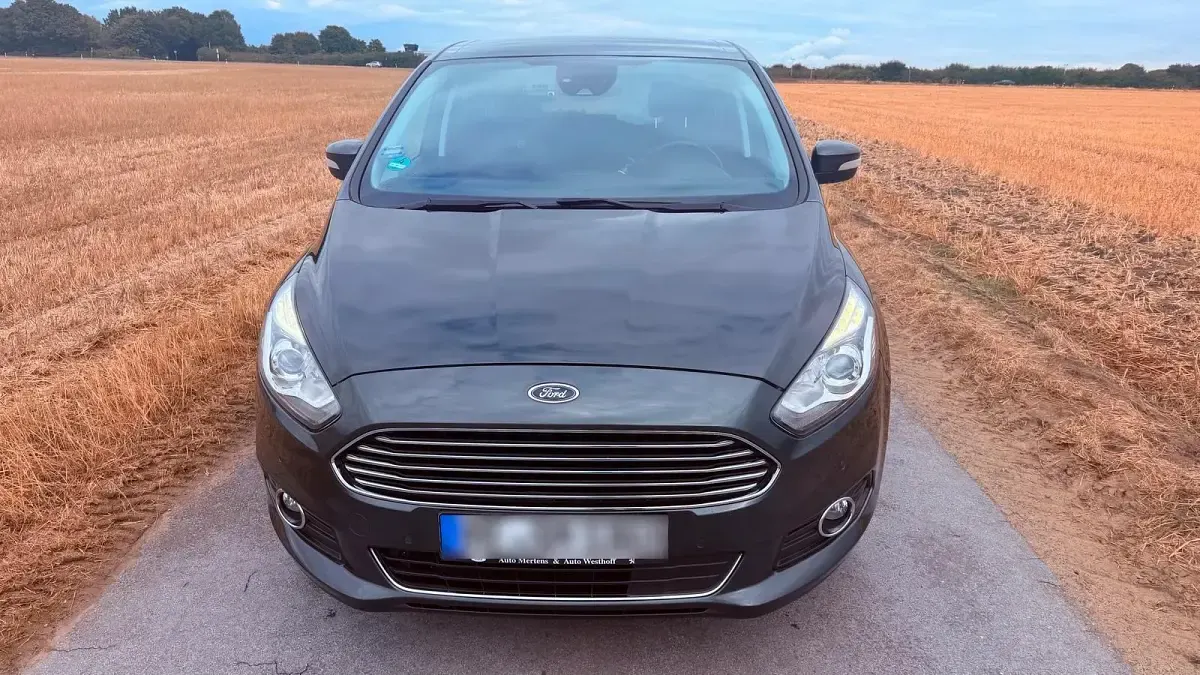 Gebraucht Ford S-MAX Titanium 190 PS (139 kW) 2019 Grün Van / Kleinbus