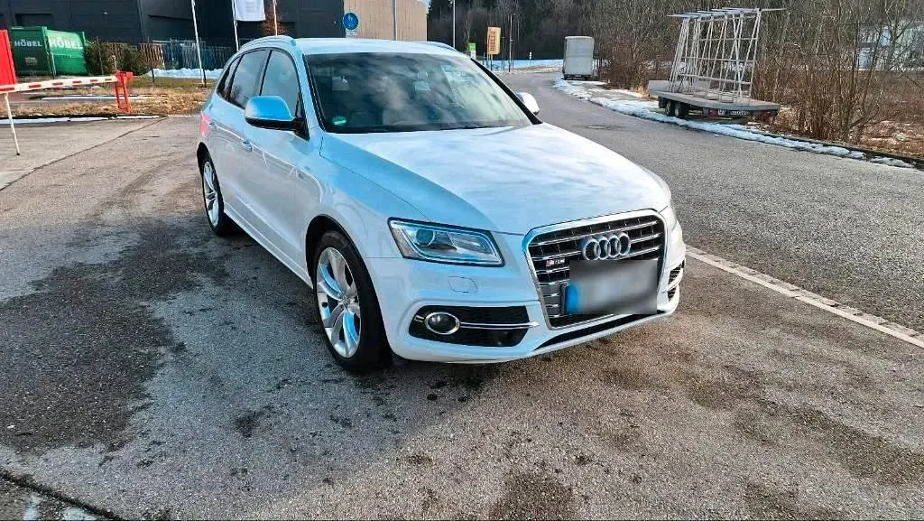 Brugt Audi SQ5 Competition 333 HK (244 kW) 2017 Hvid SUV