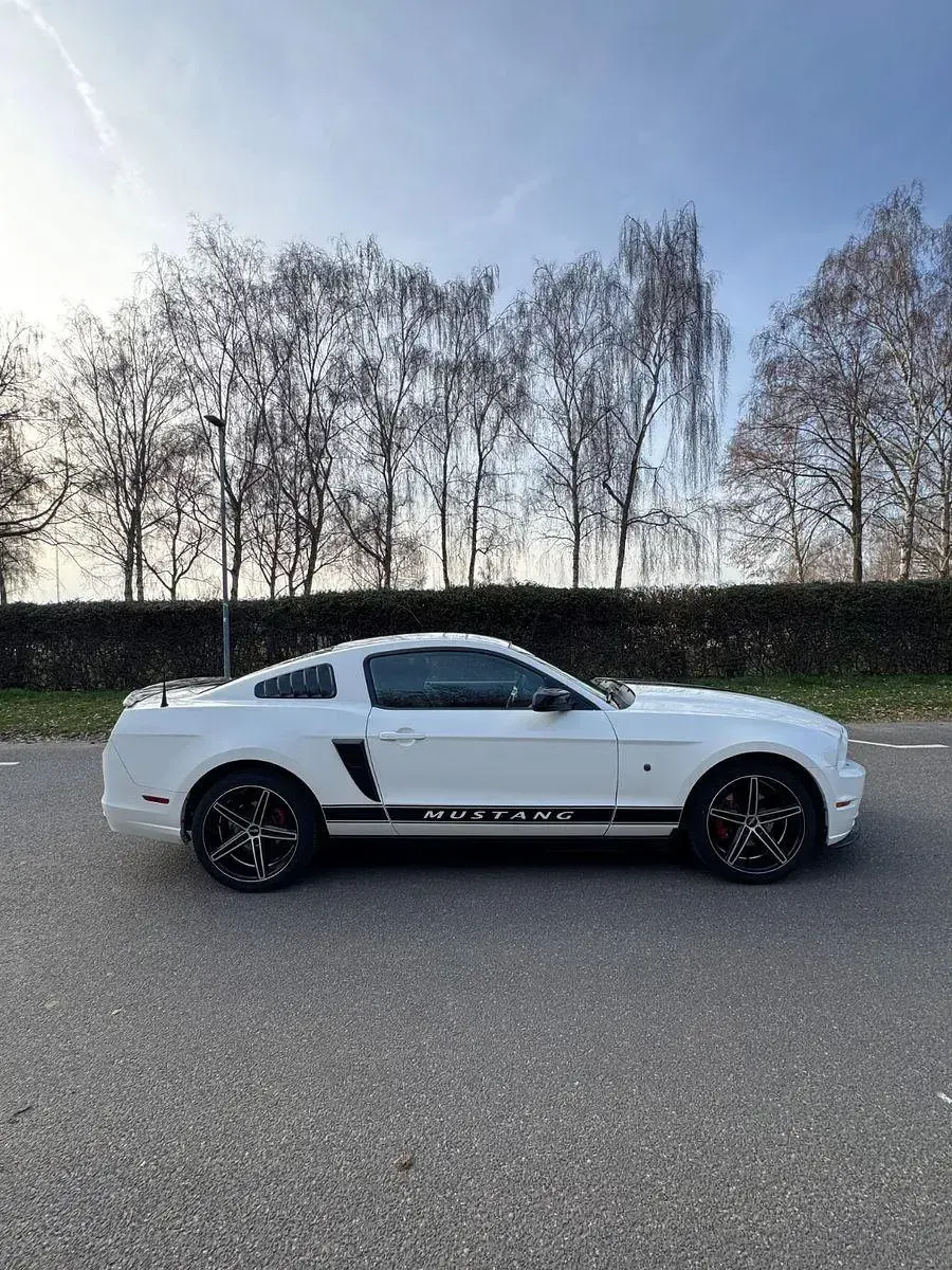 Occasion Ford Mustang 305 ch (224 kW) 2013 Blanc Coupé