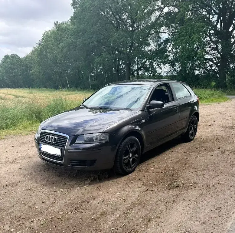 Gebraucht Audi A3 Ambition 102 PS (75 kW) 2008 Grau Kleinwagen