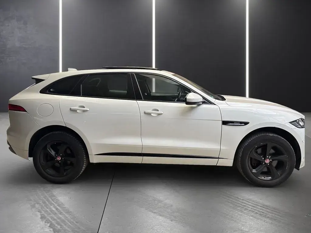 Gebraucht Jaguar F-Pace R-Sport 241 PS (177 kW) 2019 Weiß SUV