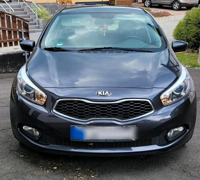 Grau Gebraucht 2013 Kia Ceed Limousine | 7.800 € (Fairer Preis) - Bild 1/4