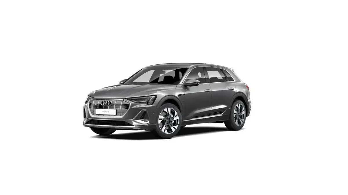 Gebraucht Audi e-tron S-Line 300 kW (408 PS) 2023 Daytonagrau perleffekt SUV