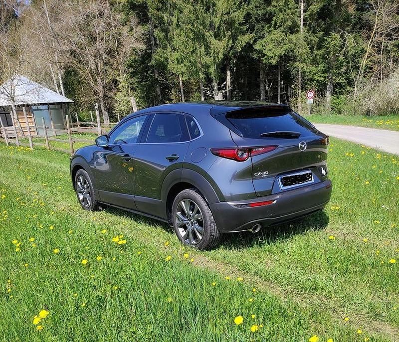 Gebraucht Mazda CX-30 Selection 179 PS (131 kW) 2019 Grau SUV