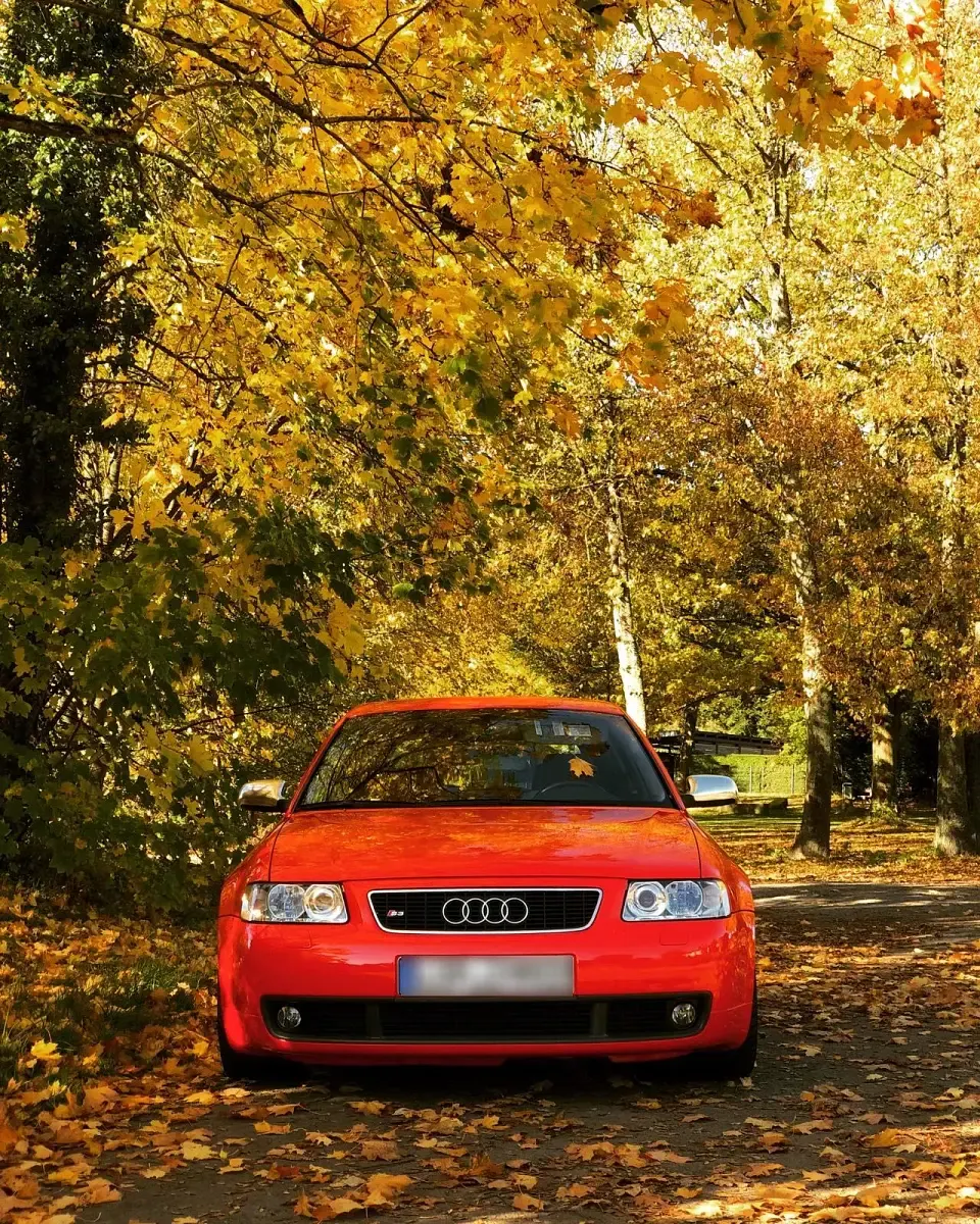 Gebraucht Audi S3 Basis 224 PS (164 kW) 2003 Rot Kleinwagen