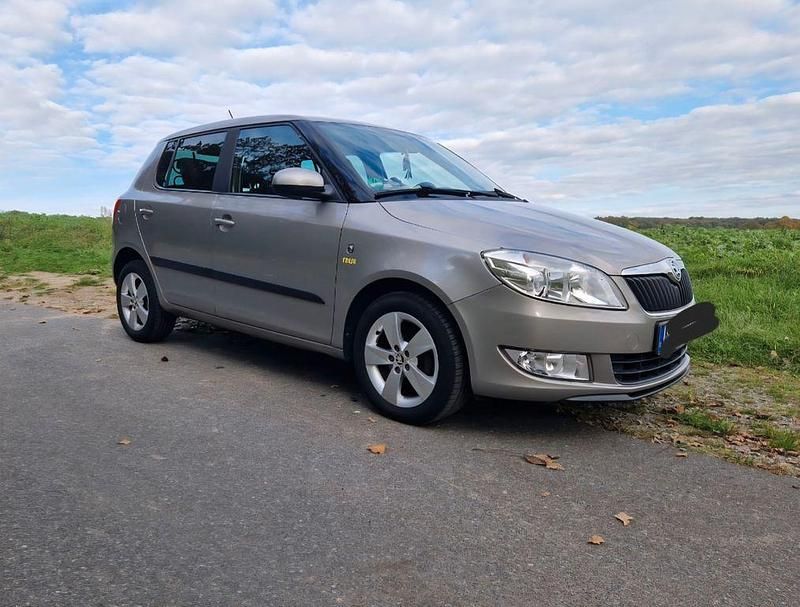 Beige Gebraucht 2013 Skoda Fabia Fresh Kleinwagen | 4.399 € (Fairer Preis) - Bild 1/4
