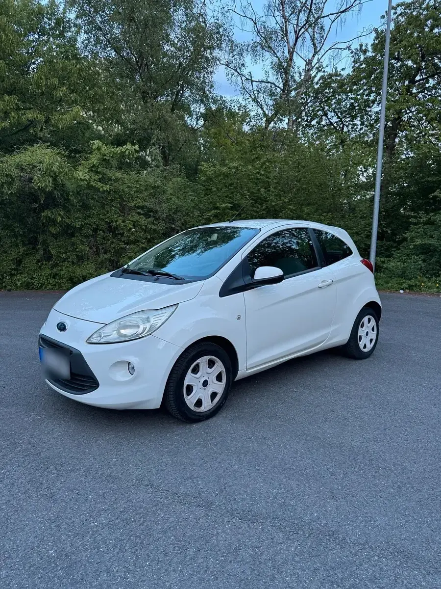 Usata Ford Ka 69 CV (50 kW) 2009 Bianco Utilitaria