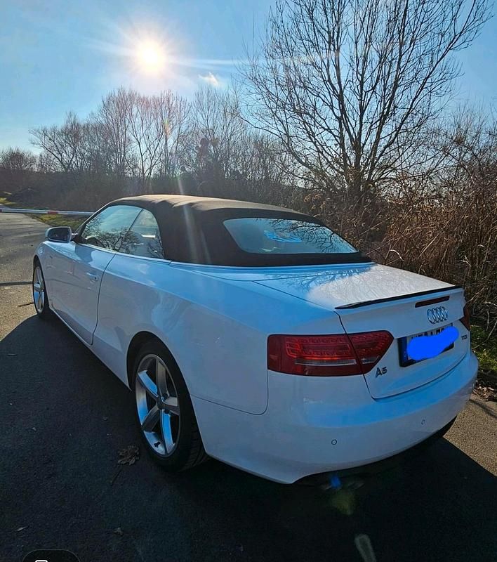 Gebraucht Audi A5 Cabriolet 170 PS (125 kW) 2011 Weiß Cabrio