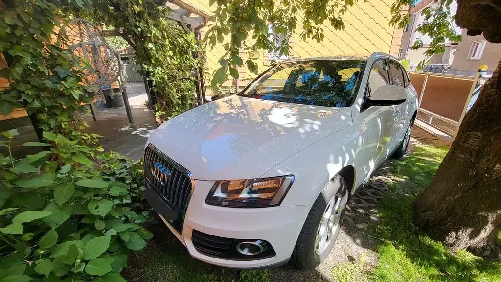 Gebraucht Audi Q5 190 PS (139 kW) 2016 Weiß SUV