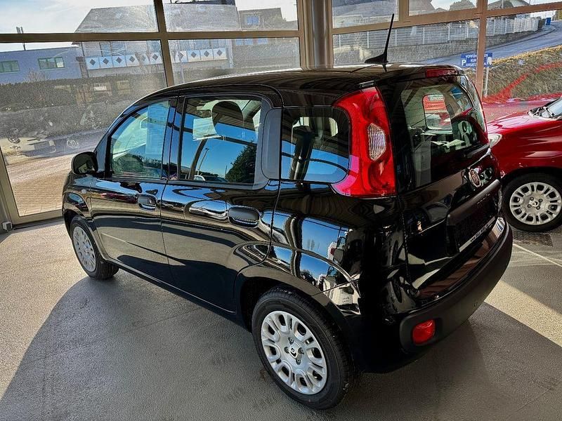 Neu Fiat Panda 69 PS (50 kW) 2025 Schwarz Limousine