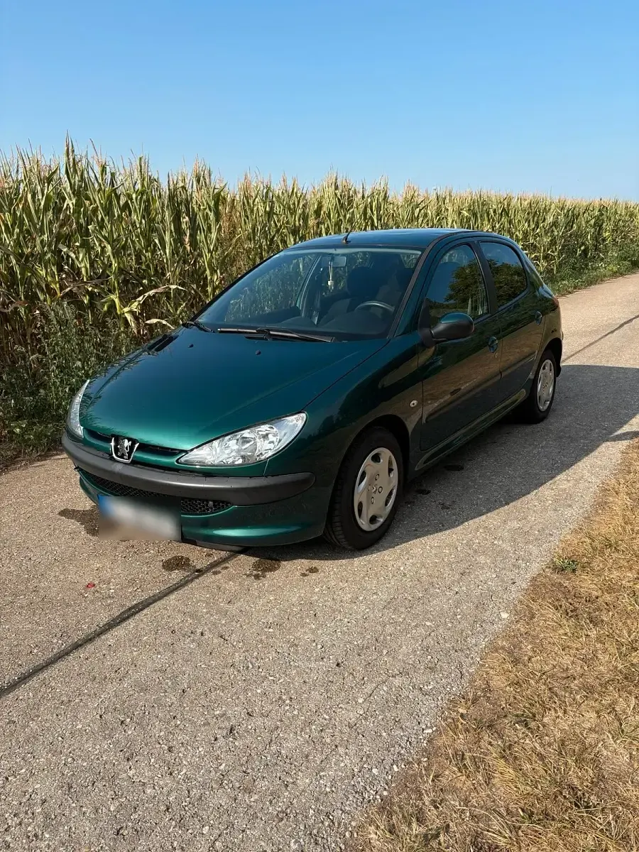 Gebraucht Peugeot 206 60 PS (44 kW) 2005 Grün Kleinwagen
