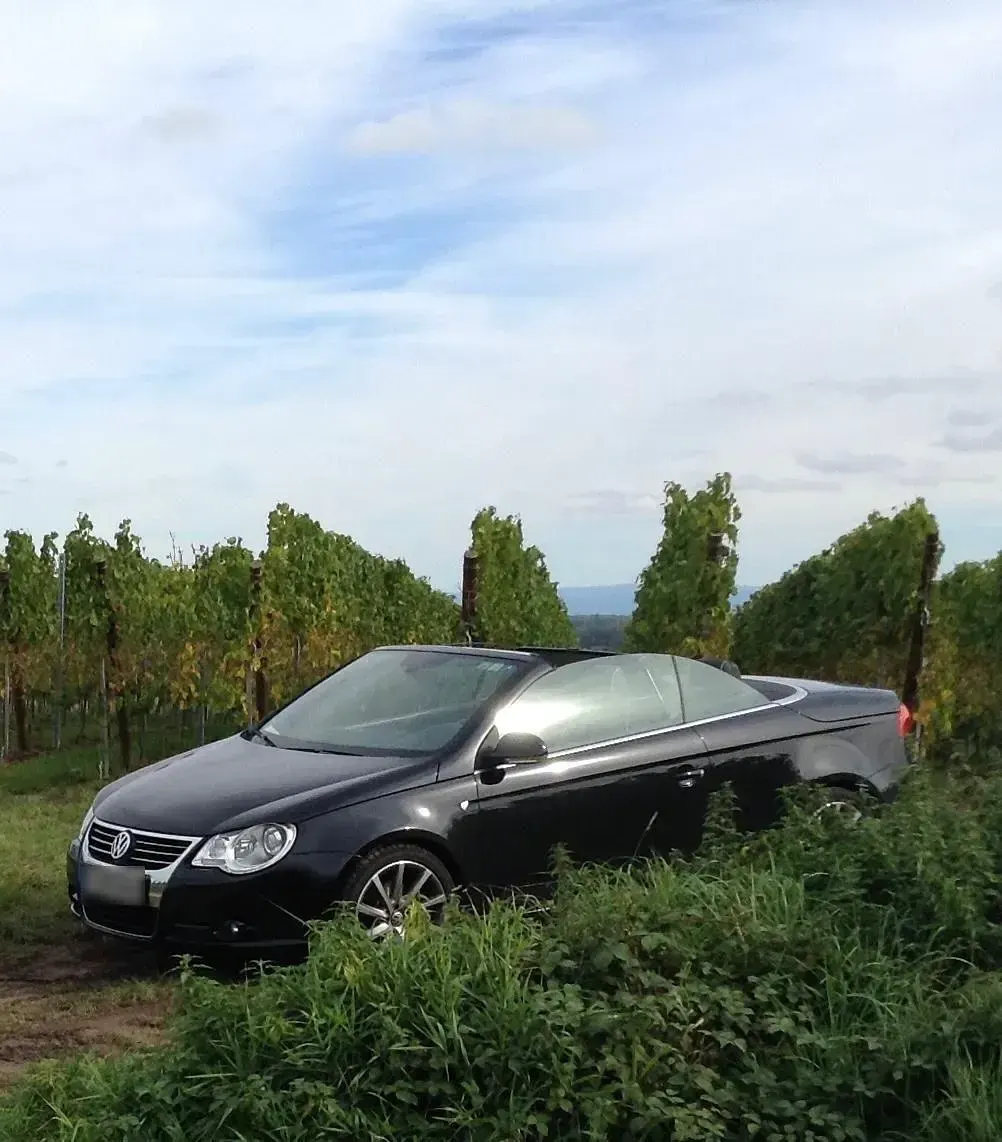Gebraucht VW Eos Individual 140 PS (102 kW) 2008 Schwarz Cabrio