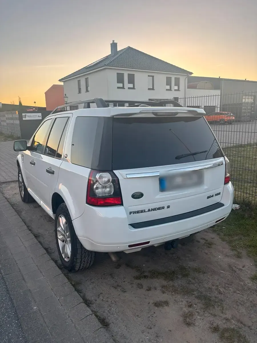 Gebraucht Land Rover Freelander 2 150 PS (110 kW) 2011 Weiß SUV