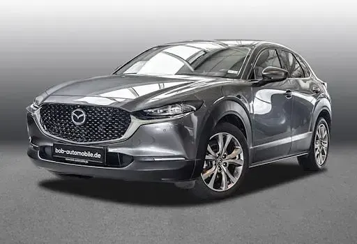 Gebraucht Mazda CX-30 Selection 180 PS (132 kW) 2019 Grau SUV