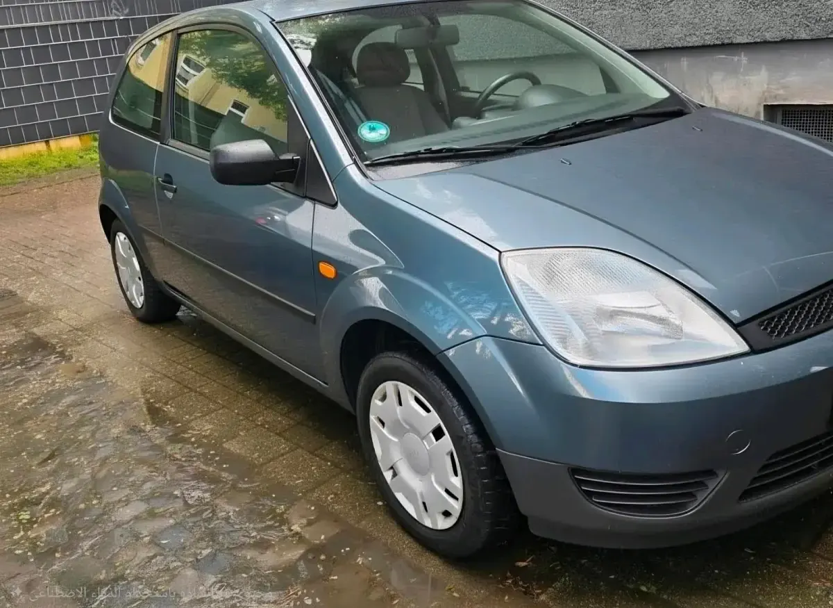 Usata Ford Fiesta 2003 Verde Utilitaria
