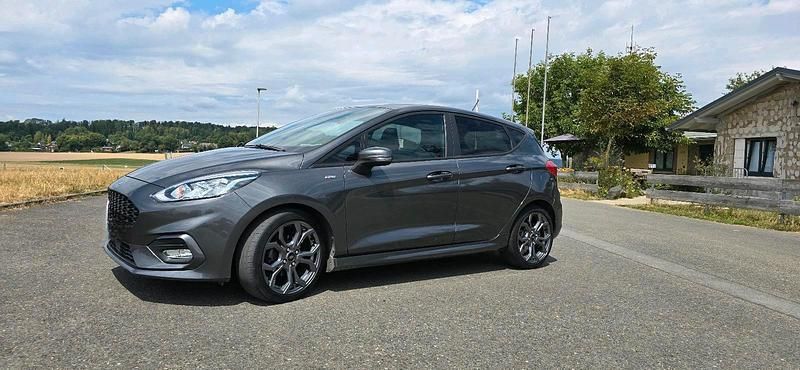 Grau Gebraucht 2019 Ford Fiesta ST Kleinwagen | 8.800 € (Superpreis) - Bild 1/4