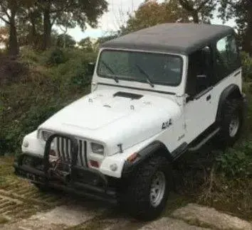 Gebraucht Jeep Wrangler 118 PS (86 kW) 1990 Weiß SUV