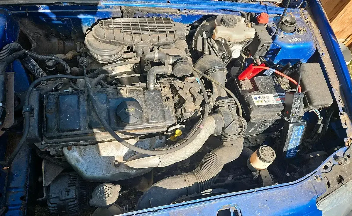 Gebraucht Citroën Saxo 60 PS (44 kW) 1998 Blau Kleinwagen